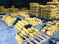 КАТОК ПОДДЕРЖИВАЮЩИЙ  9092400